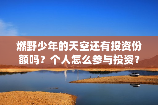 燃野少年的天空还有投资份额吗？个人怎么参与投资？成本多少？(燃野少年的天空电视剧免费观看全集)