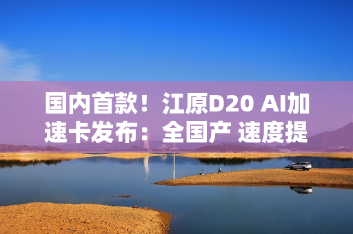 国内首款！江原D20 AI加速卡发布：全国产 速度提升40%