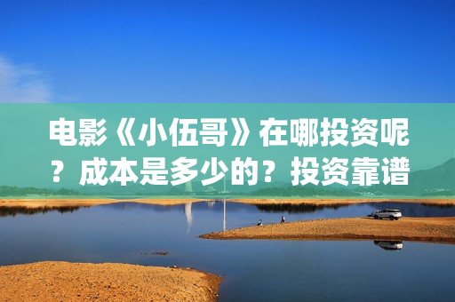 电影《小伍哥》在哪投资呢？成本是多少的？投资靠谱吗？(电影《小伍哥》免费观看)
