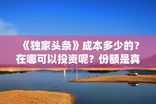 《独家头条》成本多少的？在哪可以投资呢？份额是真实的吗？(电影独家头条讲了个啥)