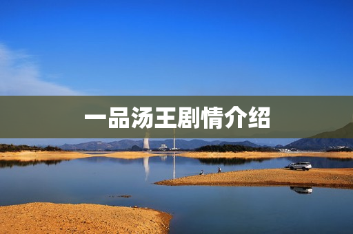 一品汤王剧情介绍