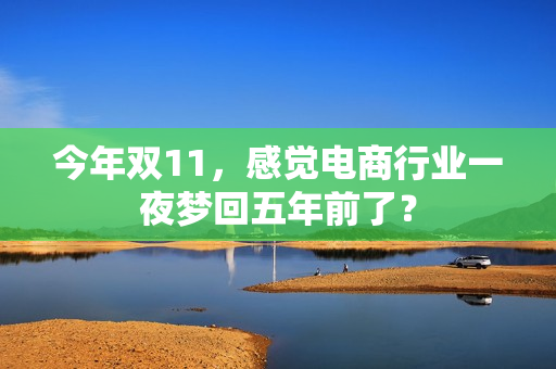 今年双11，感觉电商行业一夜梦回五年前了？