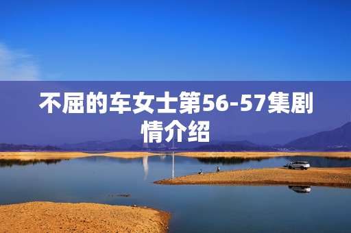 不屈的车女士第56-57集剧情介绍