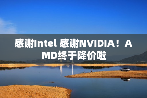 感谢Intel 感谢NVIDIA!AMD终于降价啦 感谢Intel 感谢NVIDIA!AMD终于降价啦