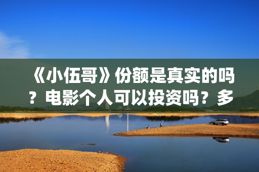 《小伍哥》份额是真实的吗？电影个人可以投资吗？多少起投呢？(小伍哥预计上映时间)