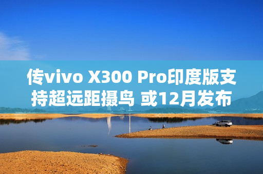 传vivo X300 Pro印度版支持超远距摄鸟 或12月发布