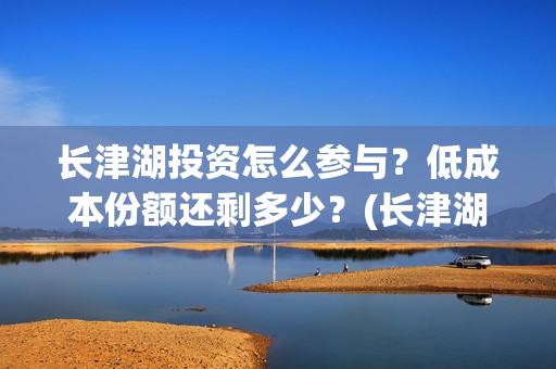 长津湖投资怎么参与？低成本份额还剩多少？(长津湖哪里投资)
