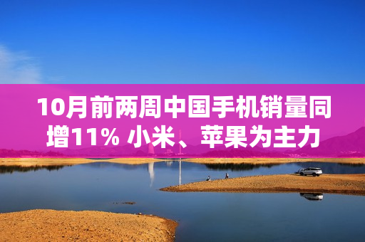 10月前两周中国手机销量同增11% 小米、苹果为主力 10月前两周中国手机销量同增11% 小米、苹果为主力