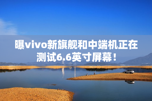 曝vivo新旗舰和中端机正在测试6.6英寸屏幕！