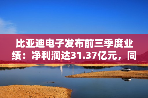 比亚迪电子发布前三季度业绩:净利润达31.37亿元,同比增长2.4% 比亚迪电子发布前三季度业绩:净利润达31.37亿元,同比增长2.4%