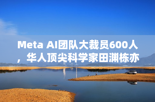 Meta AI团队大裁员600人，华人顶尖科学家田渊栋亦在其中