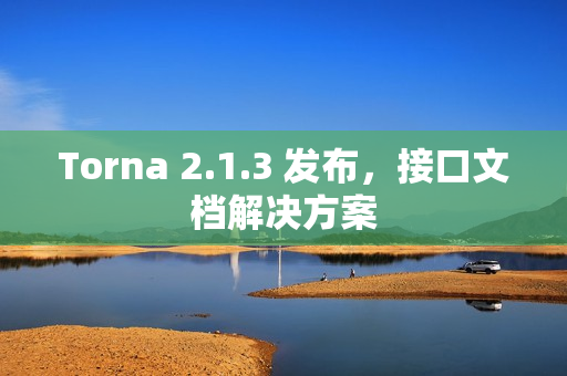 Torna 2.1.3 发布，接口文档解决方案