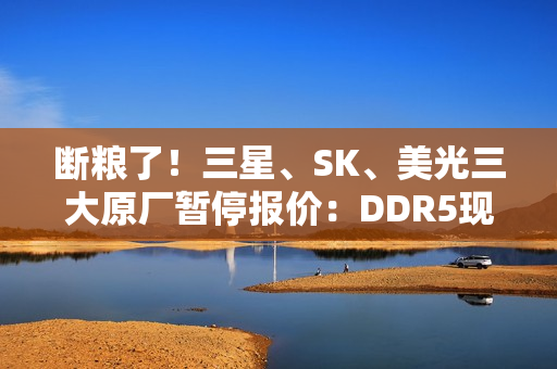 断粮了！三星、SK、美光三大原厂暂停报价：DDR5现货价一周暴涨25%