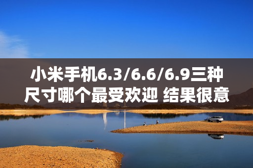 小米手机6.3/6.6/6.9三种尺寸哪个最受欢迎 结果很意外