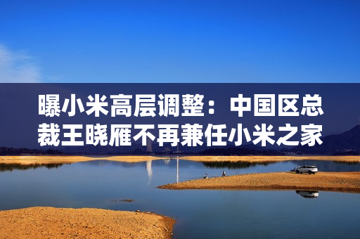 曝小米高层调整：中国区总裁王晓雁不再兼任小米之家总经理，陈恺接任