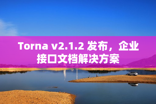 Torna v2.1.2 发布，企业接口文档解决方案