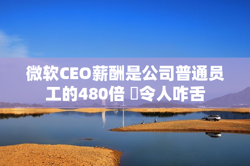 微软CEO薪酬是公司普通员工的480倍 ‌令人咋舌