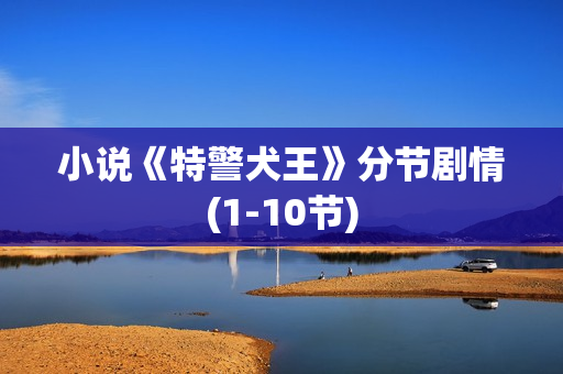 小说《特警犬王》分节剧情(1-10节) 小说《特警犬王》分节剧情(1-10节)