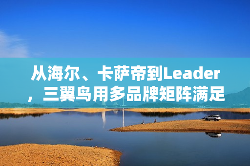 从海尔、卡萨帝到Leader,三翼鸟用多品牌矩阵满足中国家庭需求 从海尔、卡萨帝到Leader,三翼鸟用多品牌矩阵满足中国家庭需求