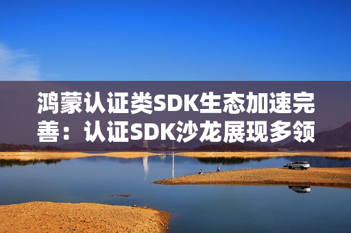 鸿蒙认证类SDK生态加速完善:认证SDK沙龙展现多领域伙伴创新成果 鸿蒙认证类SDK生态加速完善:认证SDK沙龙展现多领域伙伴创新成果