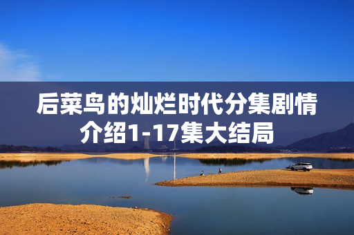 后菜鸟的灿烂时代分集剧情介绍1-17集大结局