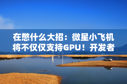 在憋什么大招：微星小飞机将不仅仅支持GPU！开发者给出暗示