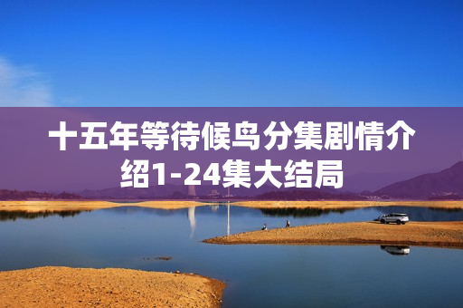 十五年等待候鸟分集剧情介绍1-24集大结局