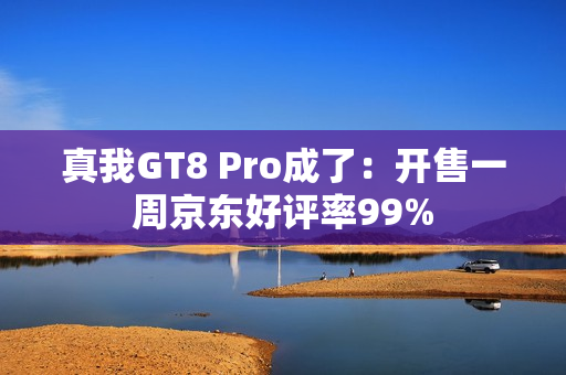 真我GT8 Pro成了：开售一周京东好评率99%