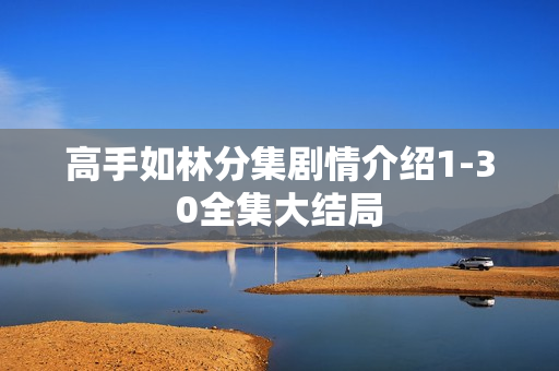 高手如林分集剧情介绍1-30全集大结局