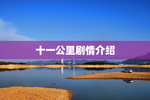 十一公里剧情介绍