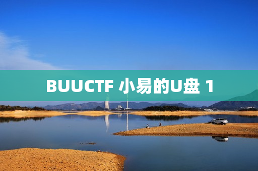 BUUCTF 小易的U盘 1