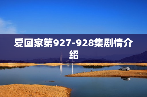 爱回家第927-928集剧情介绍