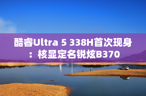 酷睿Ultra 5 338H首次现身：核显定名锐炫B370