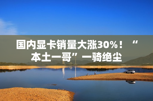国内显卡销量大涨30%!“本土一哥”一骑绝尘 国内显卡销量大涨30%!“本土一哥”一骑绝尘