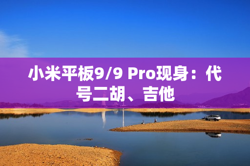 小米平板9/9 Pro现身:代号二胡、吉他 小米平板9/9 Pro现身:代号二胡、吉他