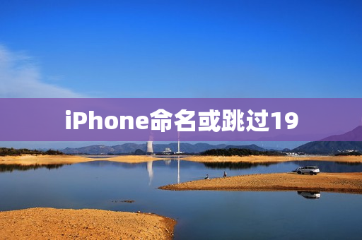 iPhone命名或跳过19