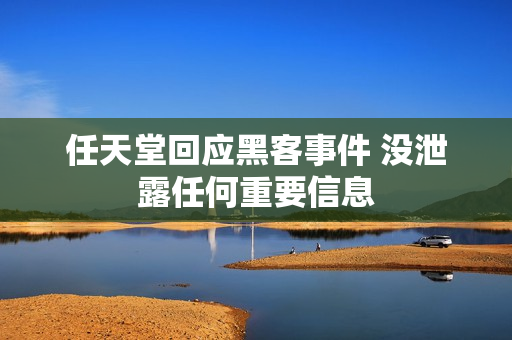 任天堂回应黑客事件 没泄露任何重要信息 任天堂回应黑客事件 没泄露任何重要信息