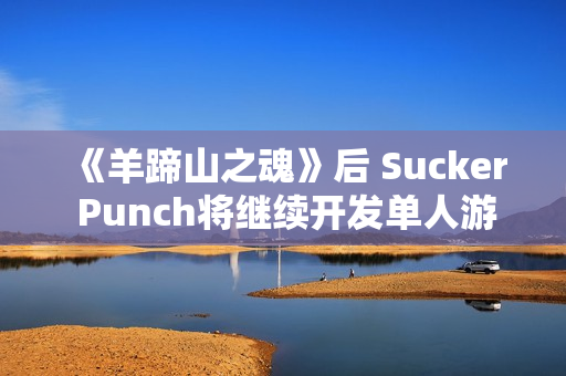 《羊蹄山之魂》后 Sucker Punch将继续开发单人游戏