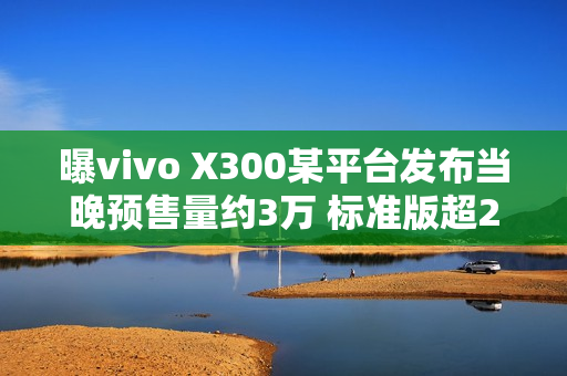 曝vivo X300某平台发布当晚预售量约3万 标准版超2万