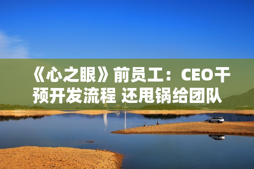 《心之眼》前员工：CEO干预开发流程 还甩锅给团队