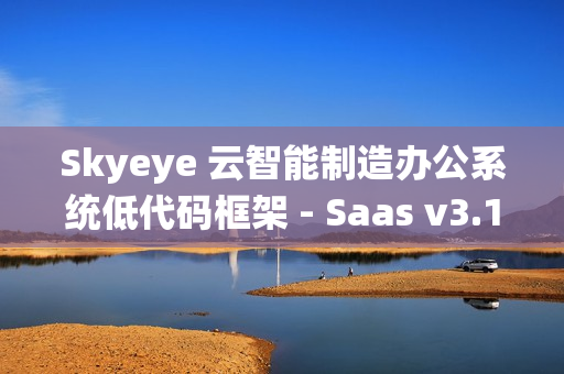 Skyeye 云智能制造办公系统低代码框架 - Saas v3.17.8 发布