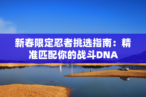 新春限定忍者挑选指南：精准匹配你的战斗DNA