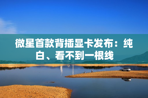 微星首款背插显卡发布：纯白、看不到一根线