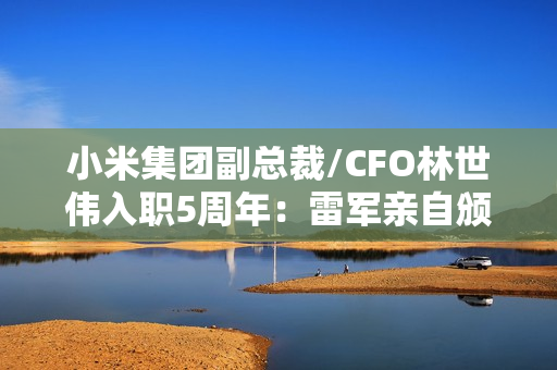 小米集团副总裁/CFO林世伟入职5周年：雷军亲自颁发金米兔