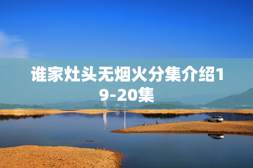 谁家灶头无烟火分集介绍19-20集
