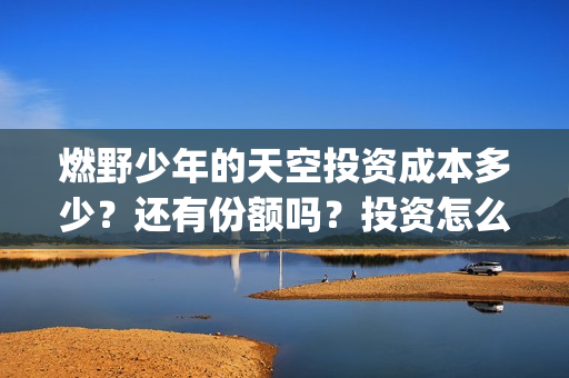 燃野少年的天空投资成本多少？还有份额吗？投资怎么参与？(燃野少年的天空和风犬少年的天空)