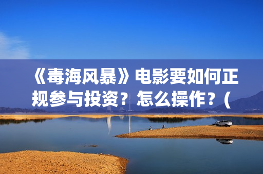 《毒海风暴》电影要如何正规参与投资？怎么操作？(毒海风暴有哪几个公司参与)