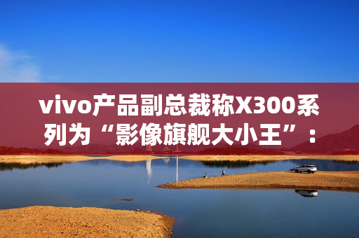 vivo产品副总裁称X300系列为“影像旗舰大小王”：没有标准版