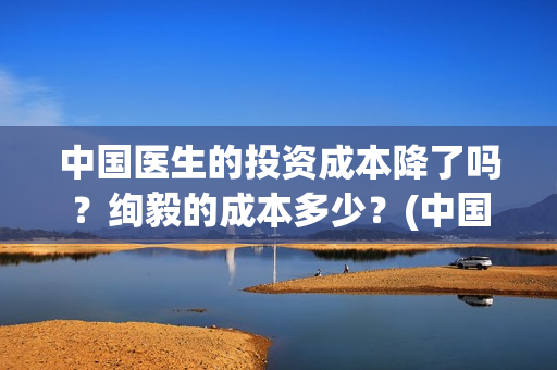中国医生的投资成本降了吗？绚毅的成本多少？(中国医生的投资人)
