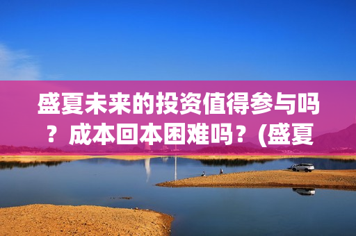 盛夏未来的投资值得参与吗？成本回本困难吗？(盛夏未来成本998万)